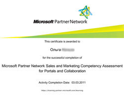 Сертификат Microsoft Sales and Marketing Specialist